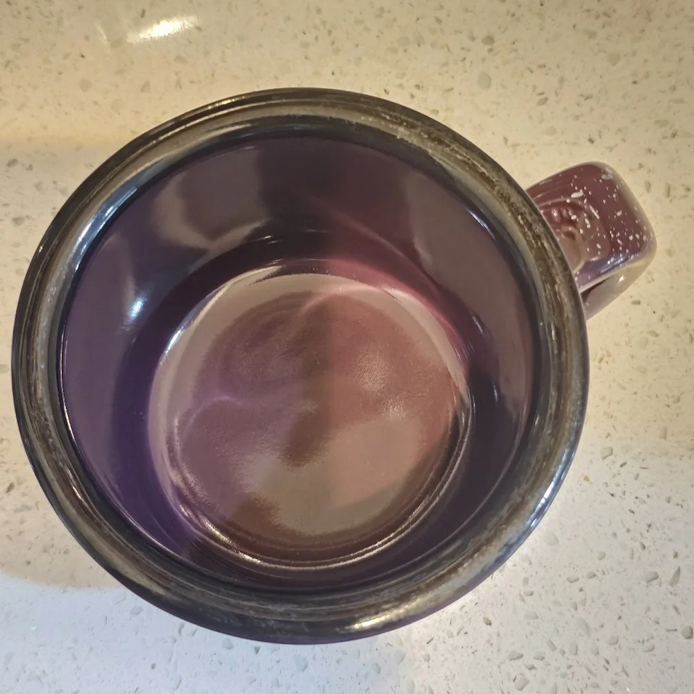 Grand Canyon Petroglyphs Cave Paintings Pictographs Coffee Mug Cup L👀K